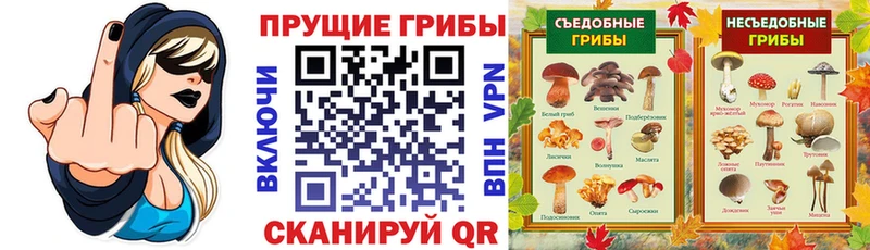 Купить где Курск Галлюциногенные грибы Magic Shrooms